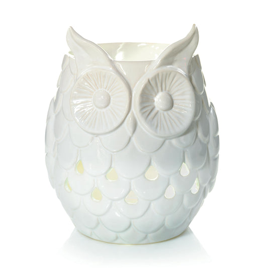 Owl (S6VX6)