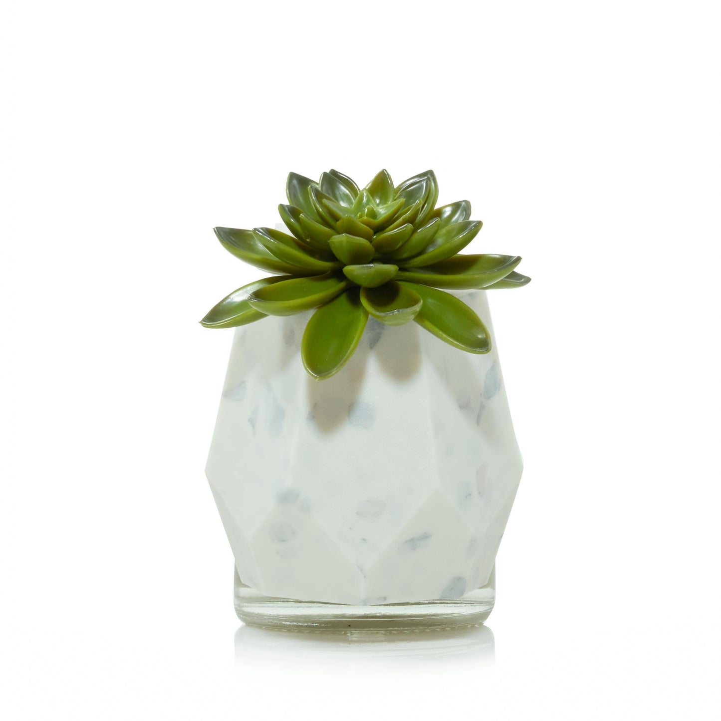 Faceted Succulent ScentPlug® Diffuser with Light (S64LK)