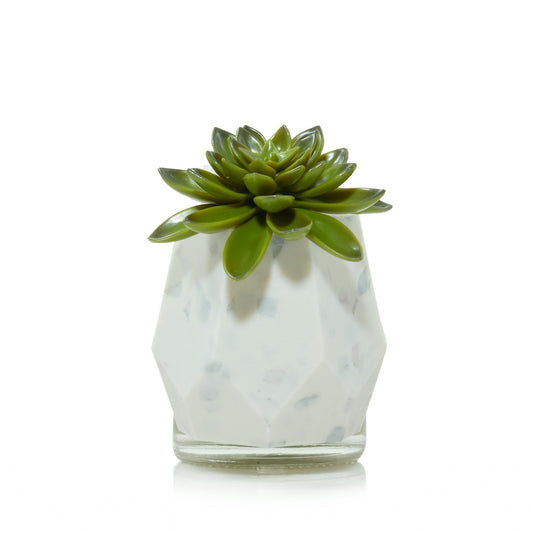 Faceted Succulent ScentPlug® Diffuser with Light (S64LK)